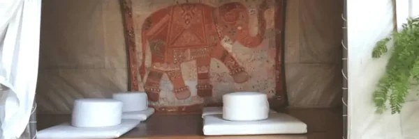 centro ayurveda Mexico (2)